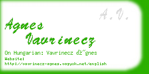 agnes vavrinecz business card